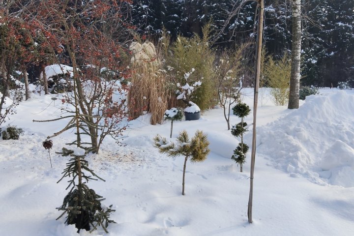 zima inna niż poprzednie