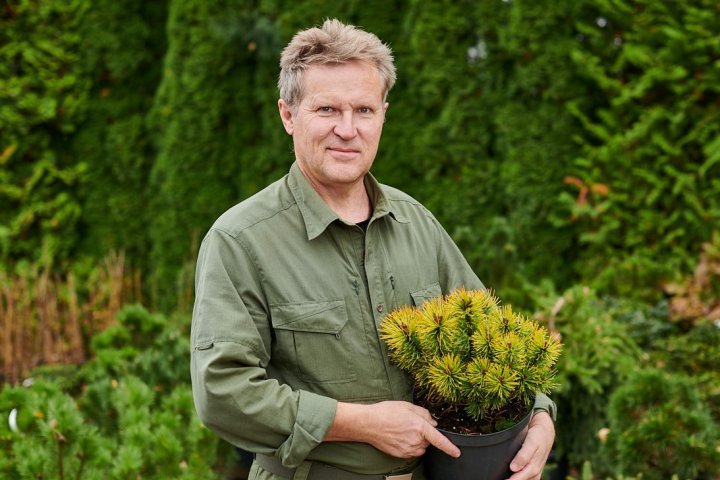 Szkółka krzewów ozdobnych